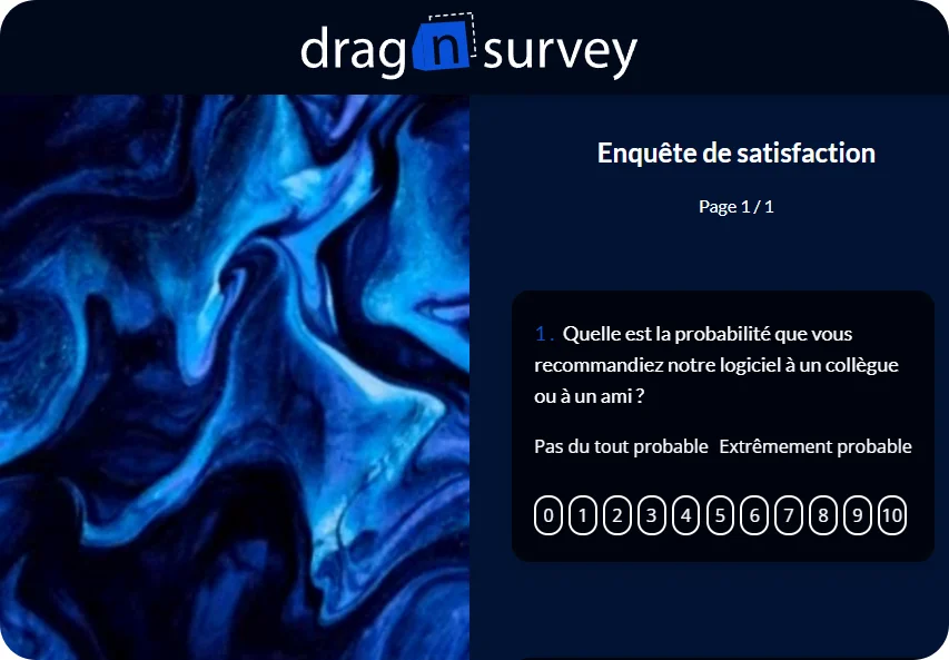 Example questionnaire Drag'n Survey